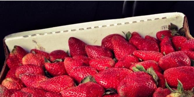 1StrawberryBird's profile banner image