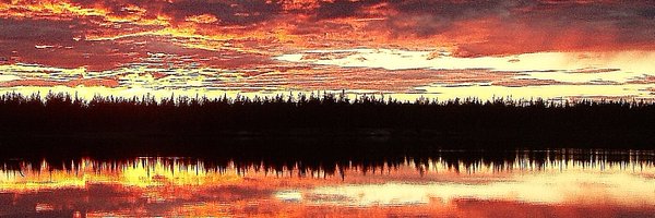 MitchThomas15 Profile Banner