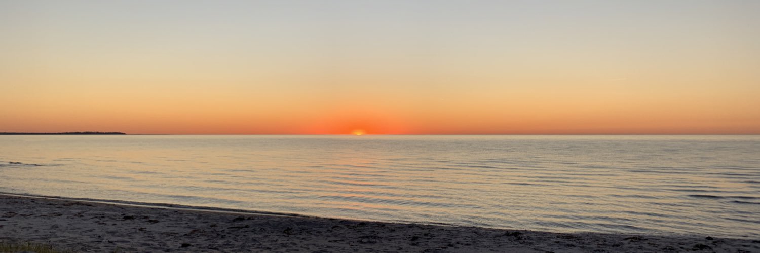 Inger Andersen banner