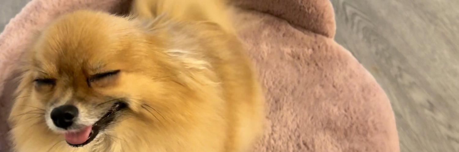 Jasmayneee_'s profile banner image