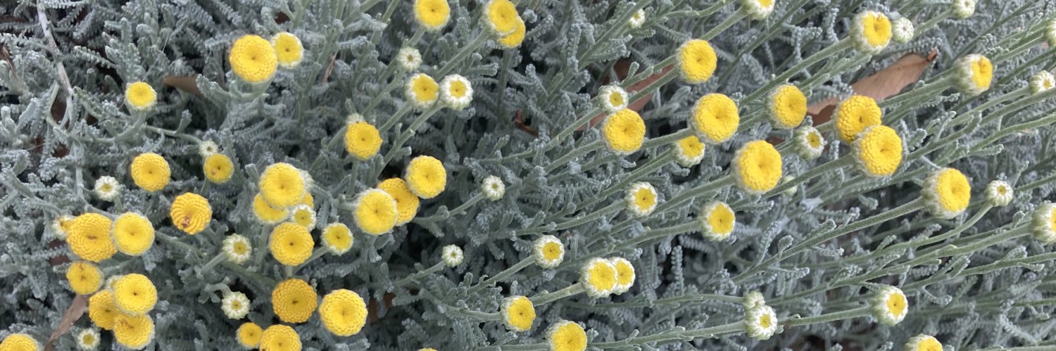 Miranda Murphy banner