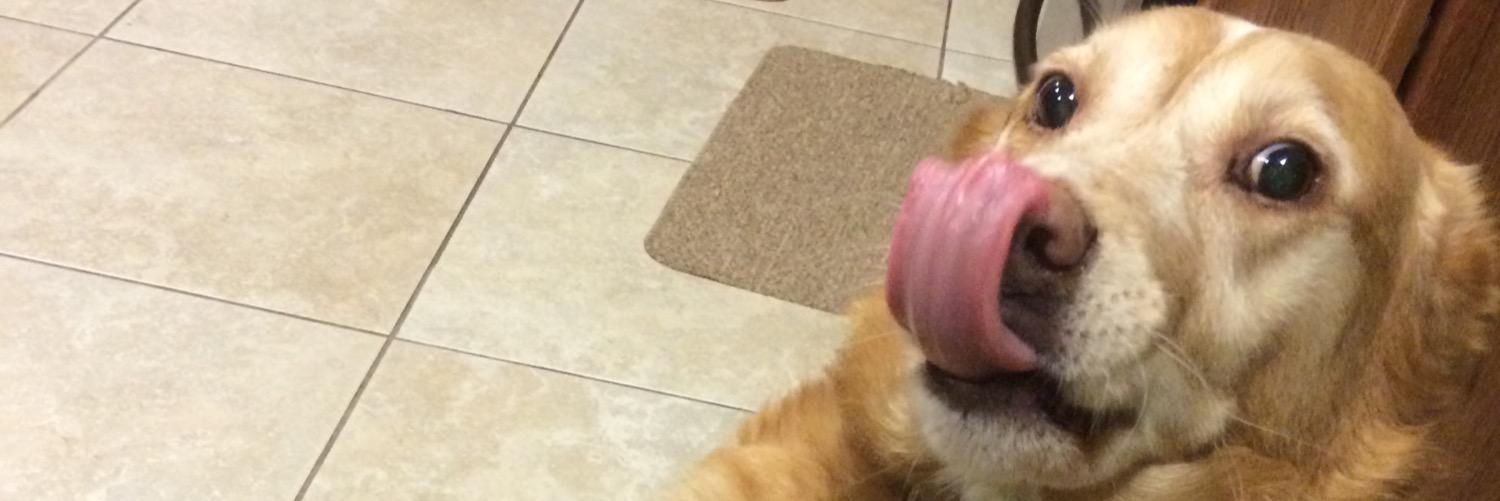 starpandamoon's profile banner image
