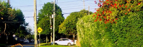 clarie07oK Profile Banner