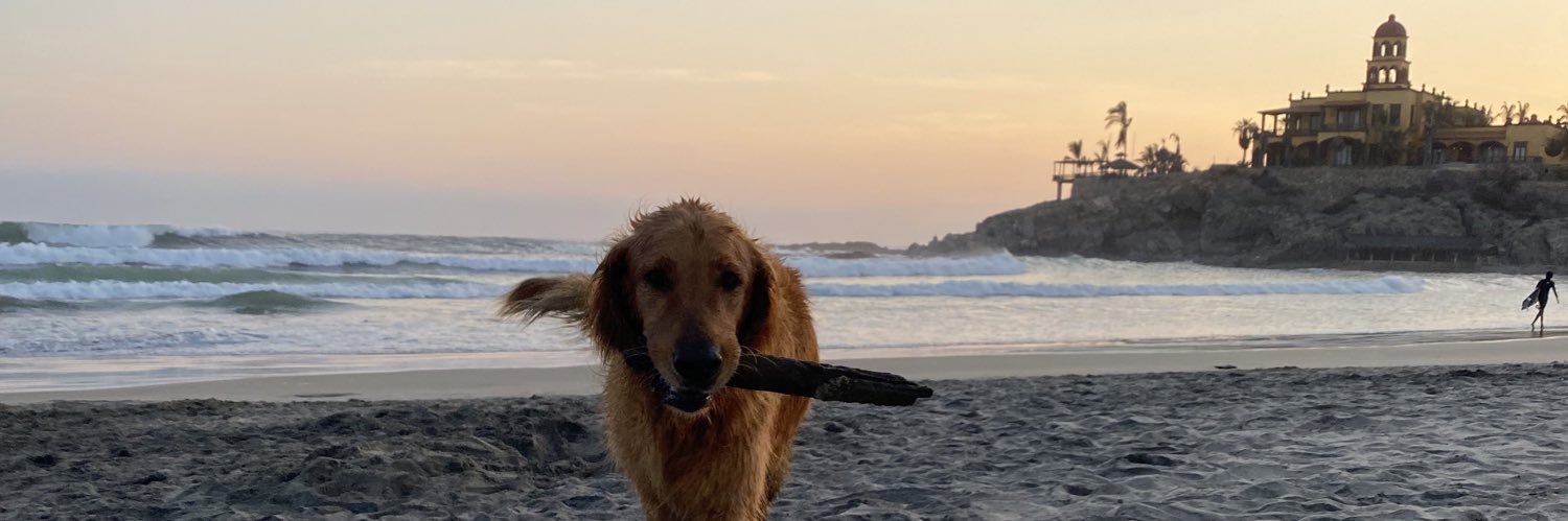 jimemtz00's profile banner image