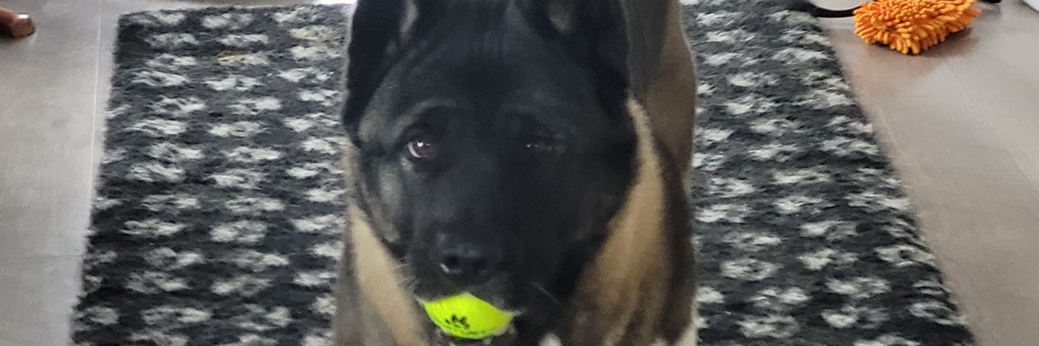 Smiling Muffin 🇱🇹 🇺🇦 🇳🇴 banner