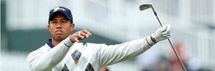 SpoofhoundGolf's profile banner image
