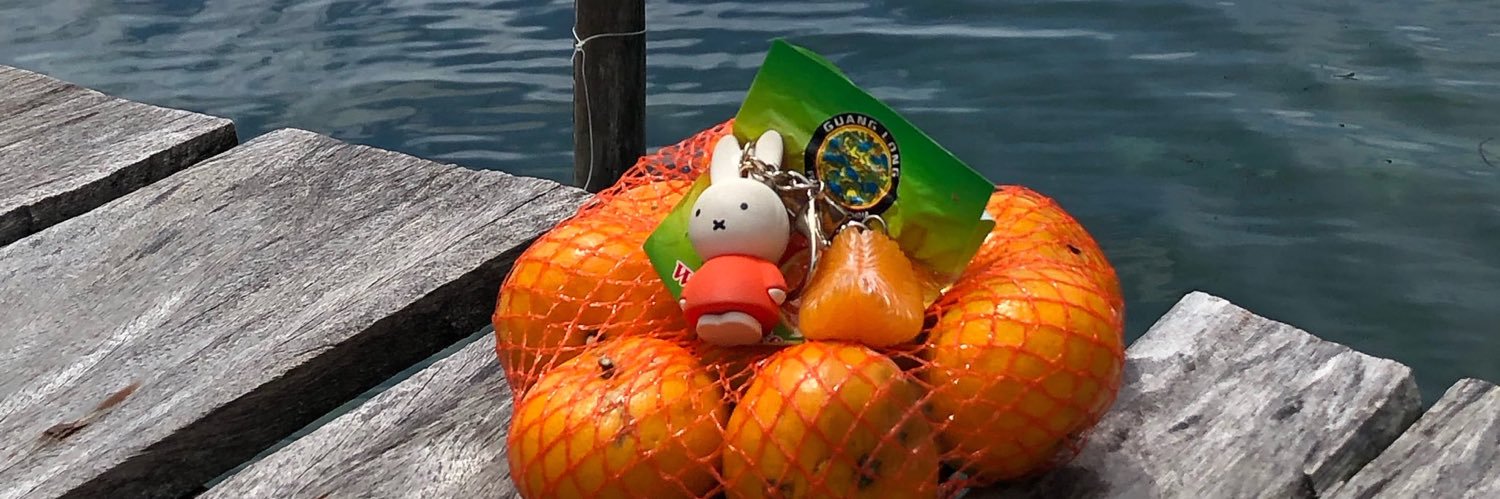 raccoon fan accoumt banner