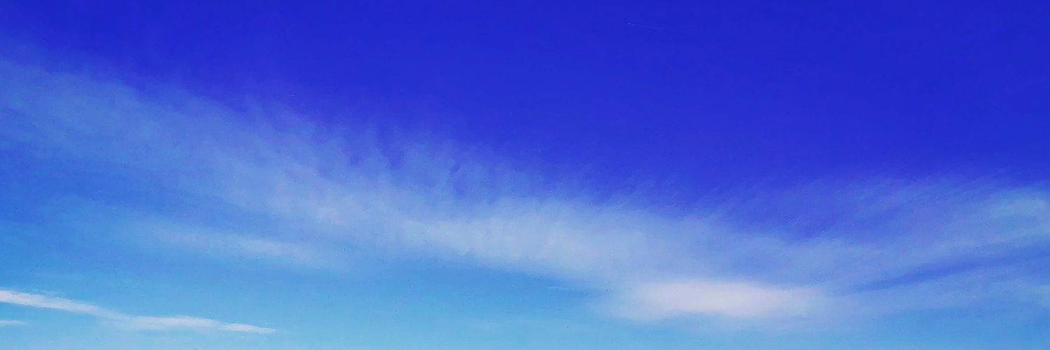 Luluhusum's profile banner image