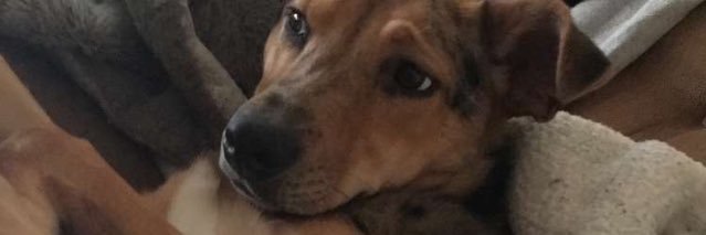 ErcaLynn's profile banner image