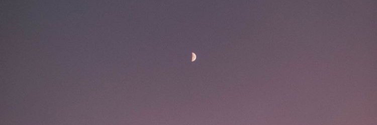 Gabmichelle13's profile banner image