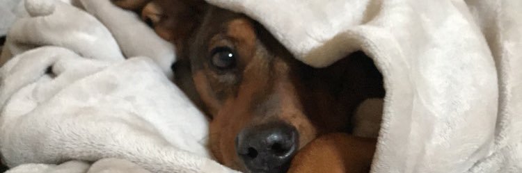 vyvvndng's profile banner image