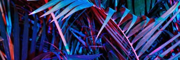 hauntship Profile Banner