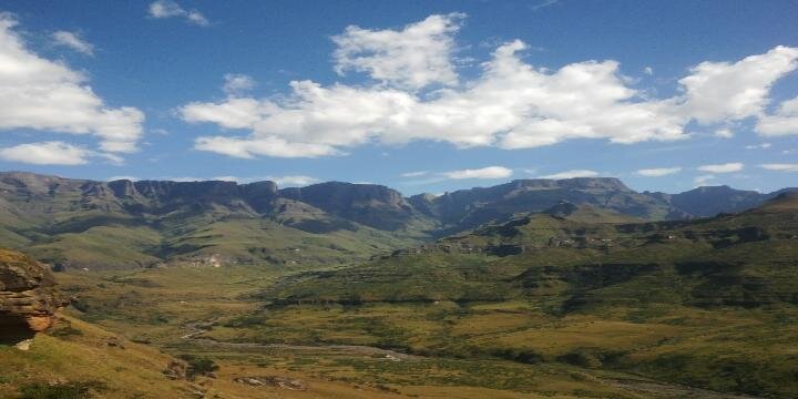 steven erasmus banner