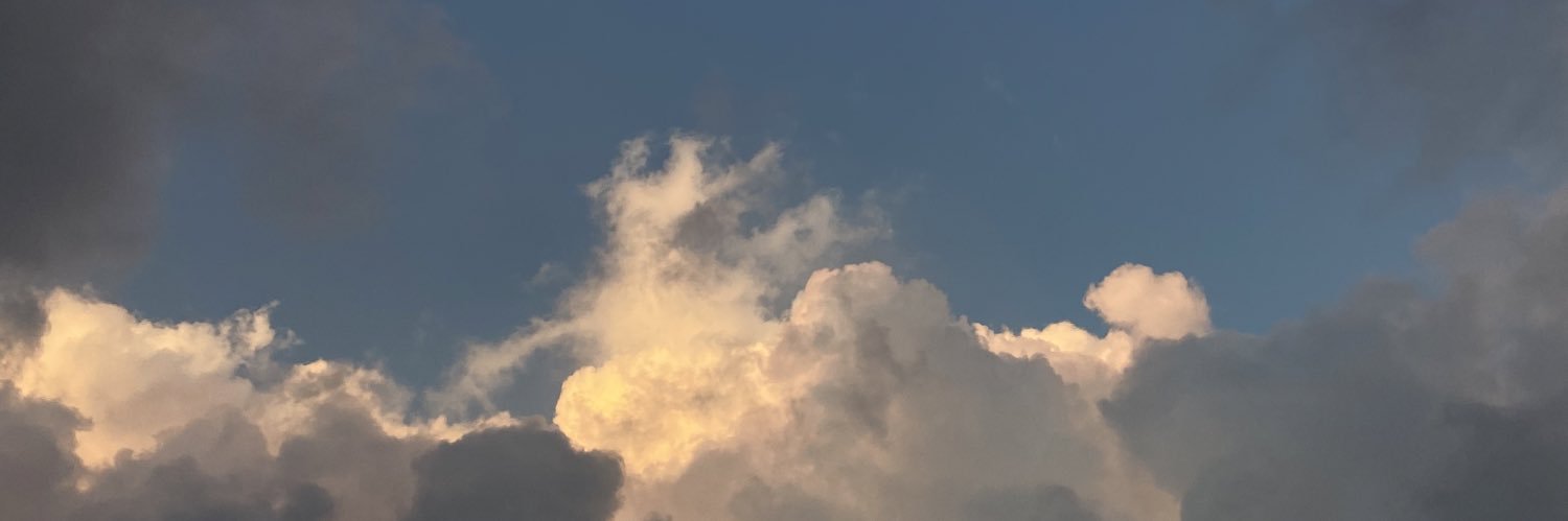 MerDix's profile banner image