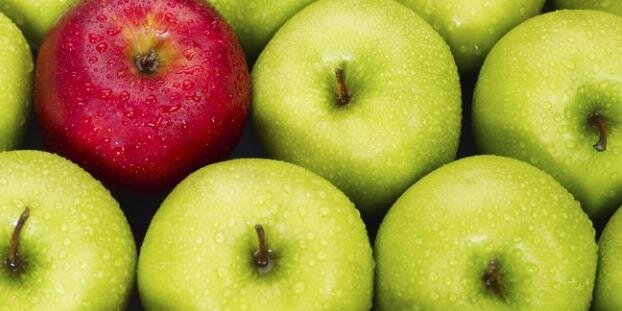 strngefruit's profile banner image