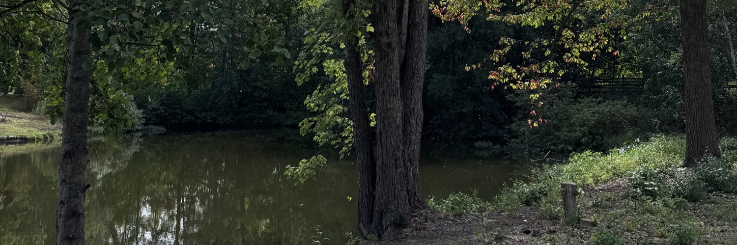 paigewask0's profile banner image