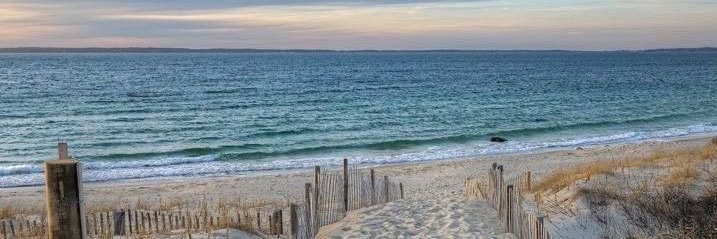 Ana Laura Félix banner