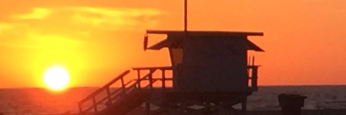 jodigernon's profile banner image