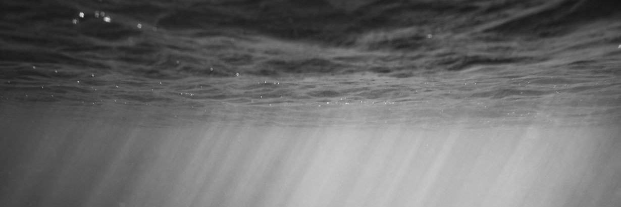luismazzariegos's profile banner image