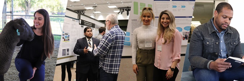 OFFICE OF UNDERGRADUATE RESEARCH banner