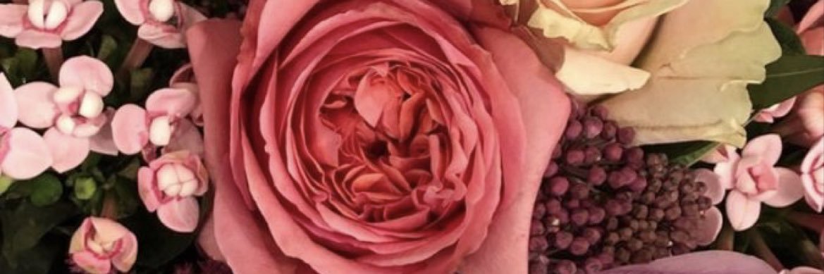 ambitiousmel_'s profile banner image
