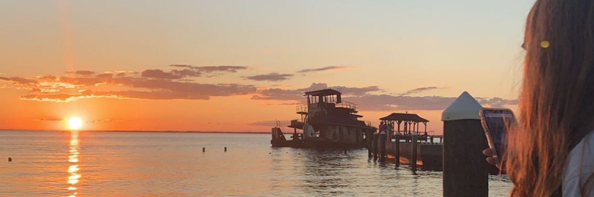 taylor broddick banner