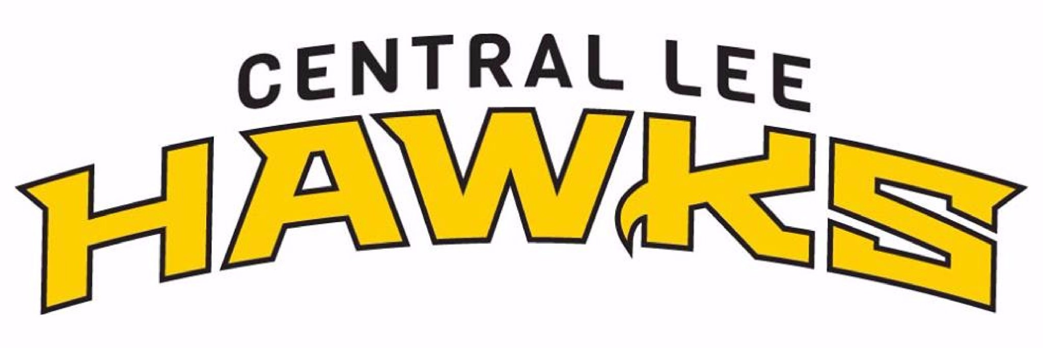 CentralLeeCSD's banner