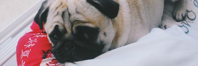 aahgabs_'s profile banner image