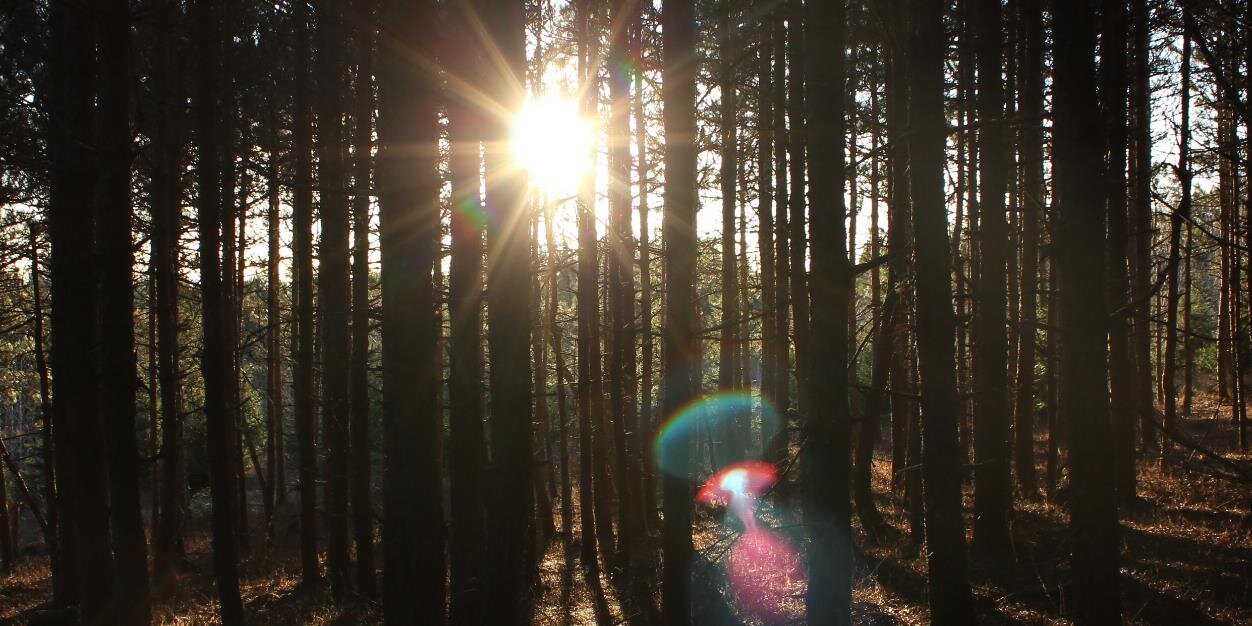 FitzTrailRun's profile banner image