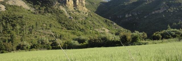 novata banner