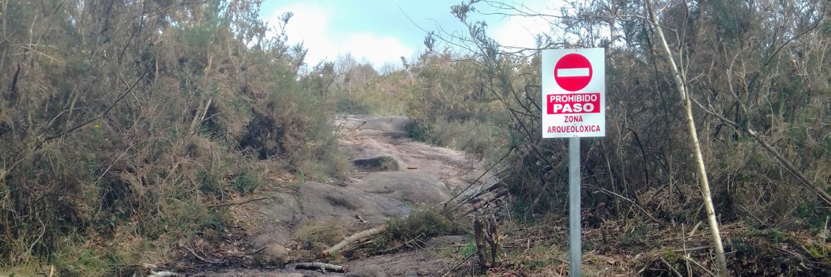 GreenMirisca's profile banner image