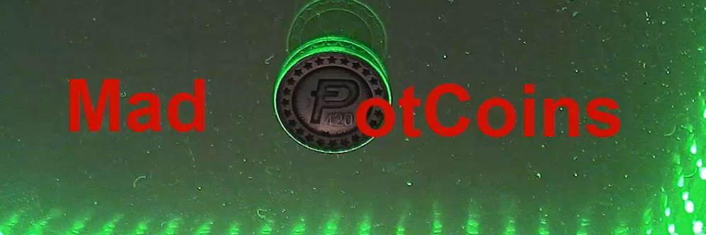 MadPotCoins's profile banner image