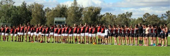 Howlong Spiders banner