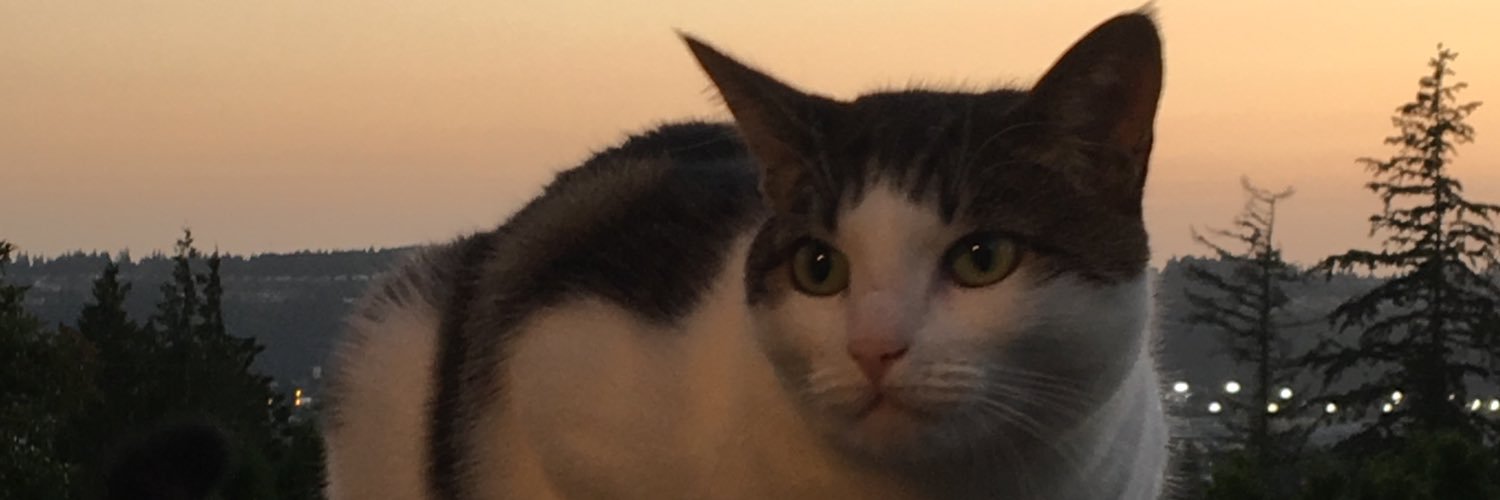 ConnorMurphy97's profile banner image