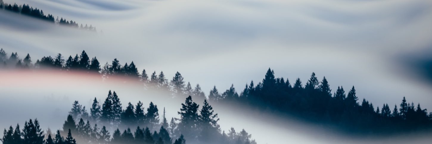 opacarophile 🌆 🪐 banner