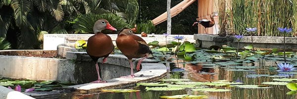 182Felp Profile Banner