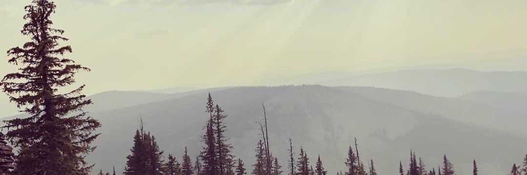 flockm's profile banner image