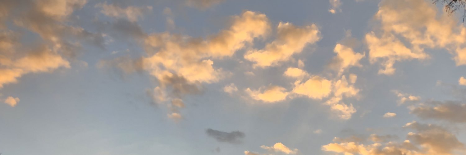 pequebear's profile banner image