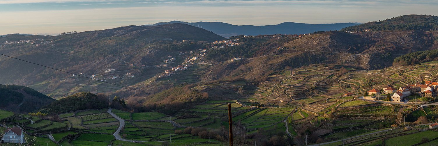 edjafonso's profile banner image
