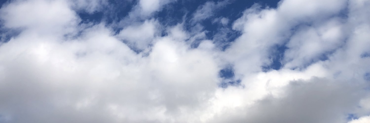 brieflylost's profile banner image
