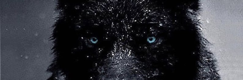 Julio23Lopez's profile banner image