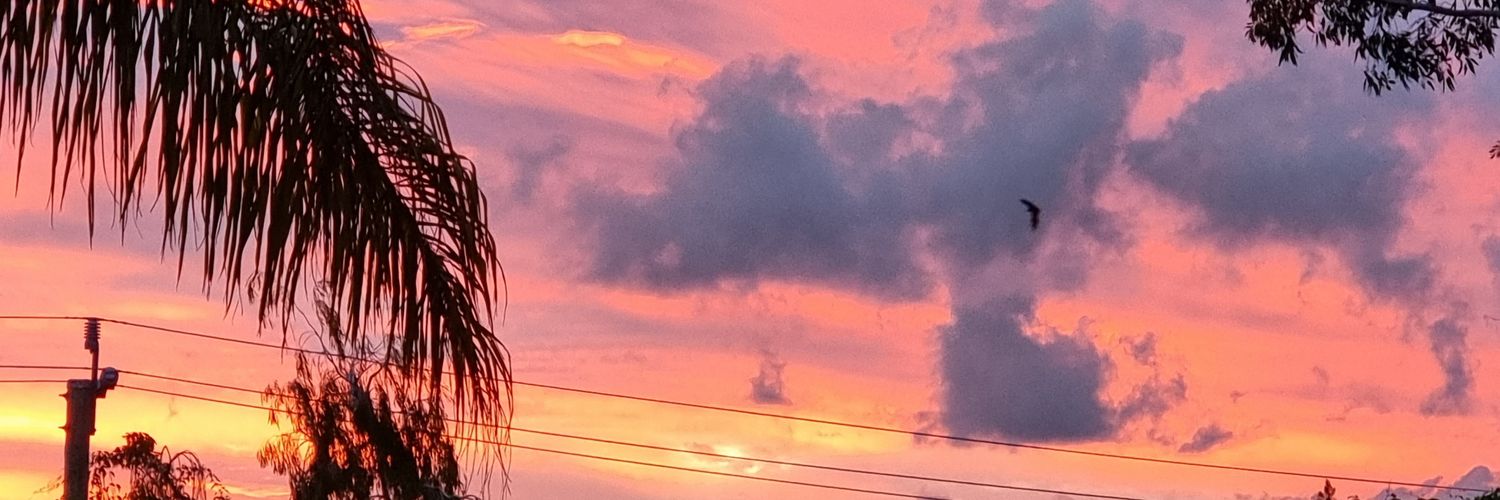 JessQ12345's profile banner image