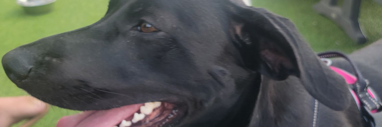 JewelEdwards21's profile banner image