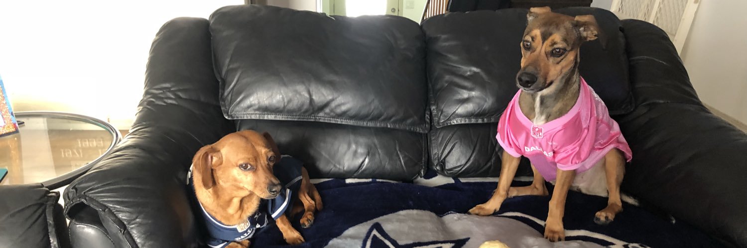 DallasMengel's profile banner image