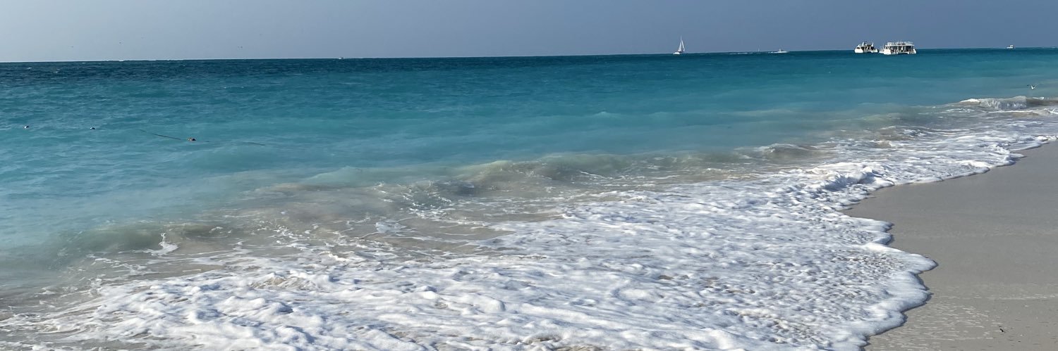 ptosbo's profile banner image
