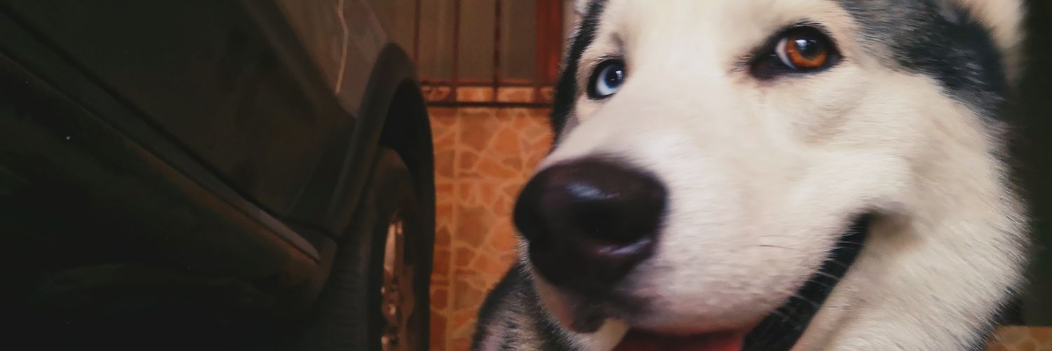 karooiz's profile banner image