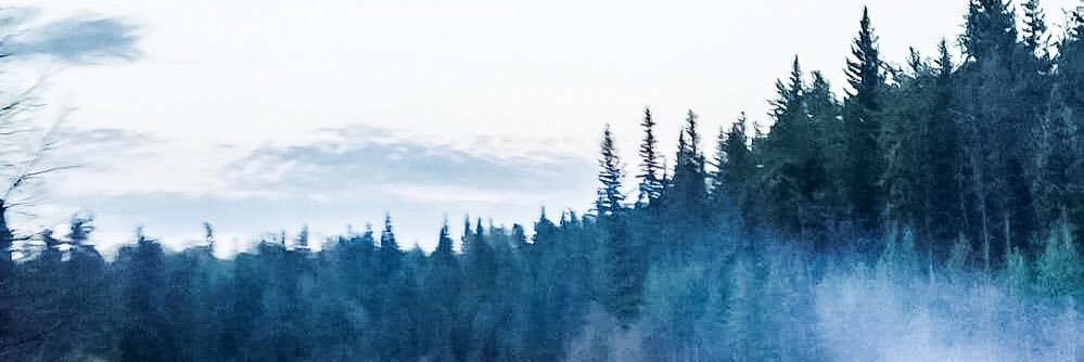 _doep's profile banner image