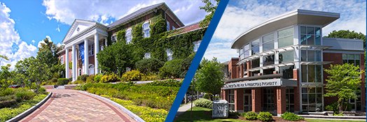 UNH_SELS's profile banner image
