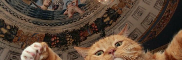 not_nonoo's profile banner image