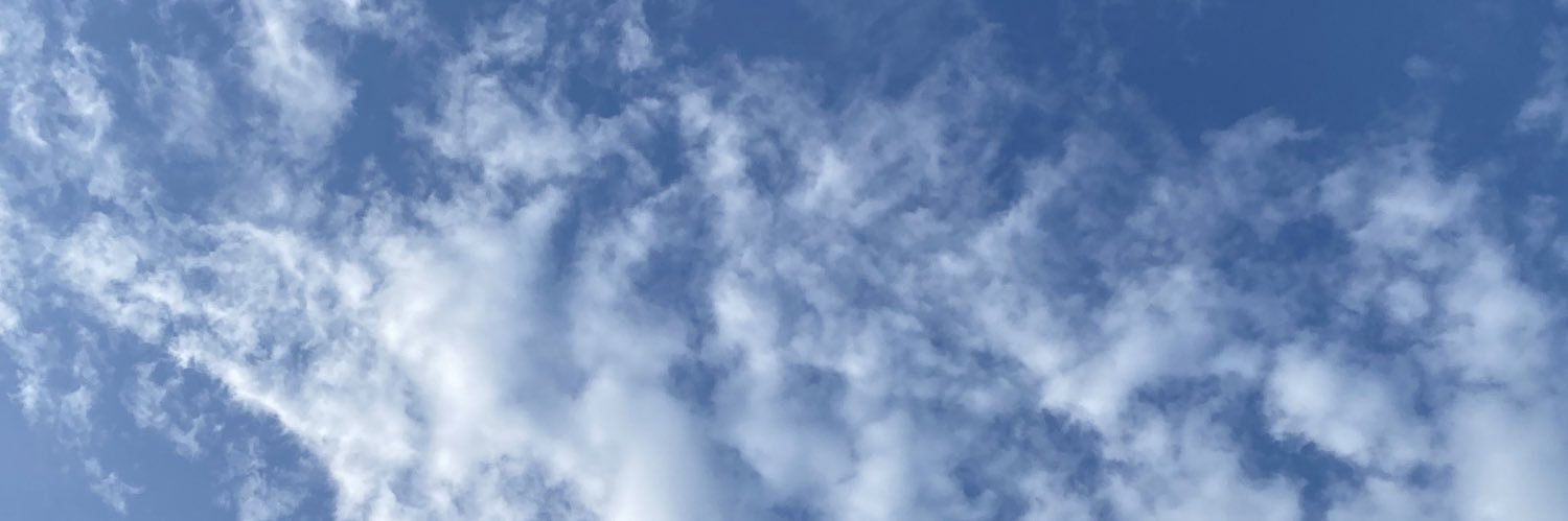 thatsshhida's profile banner image